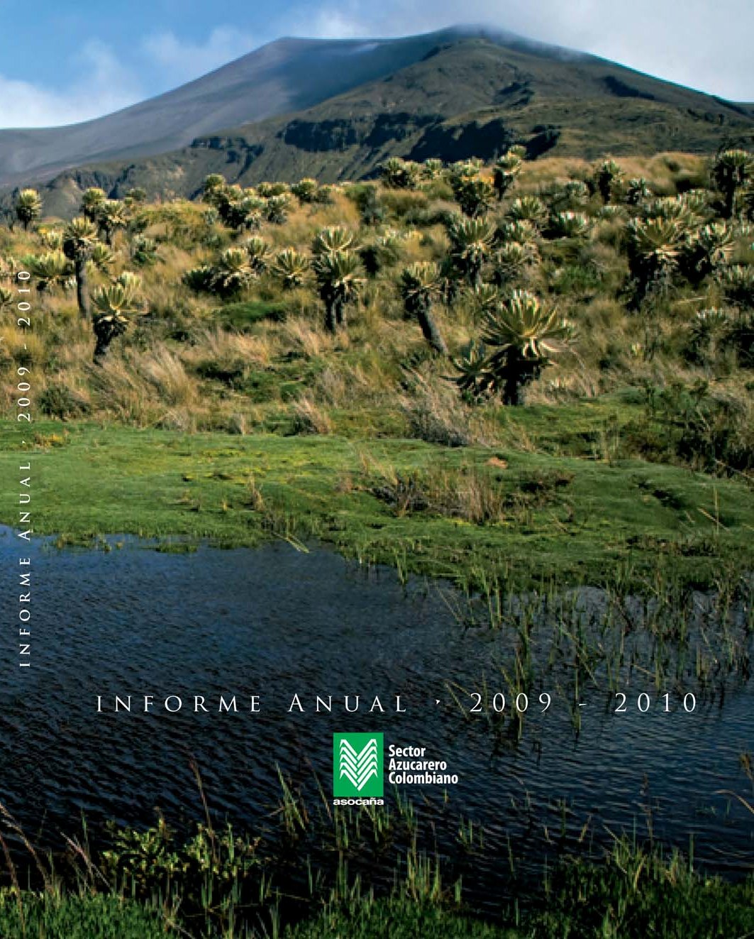 Informe anual de Asocaña 2009-2010
